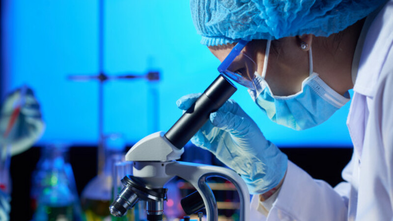 Examinando a amostra com microscopio 1098 18424